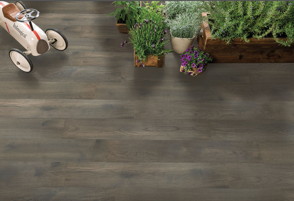 MSI - Woodhills - Brook Timber