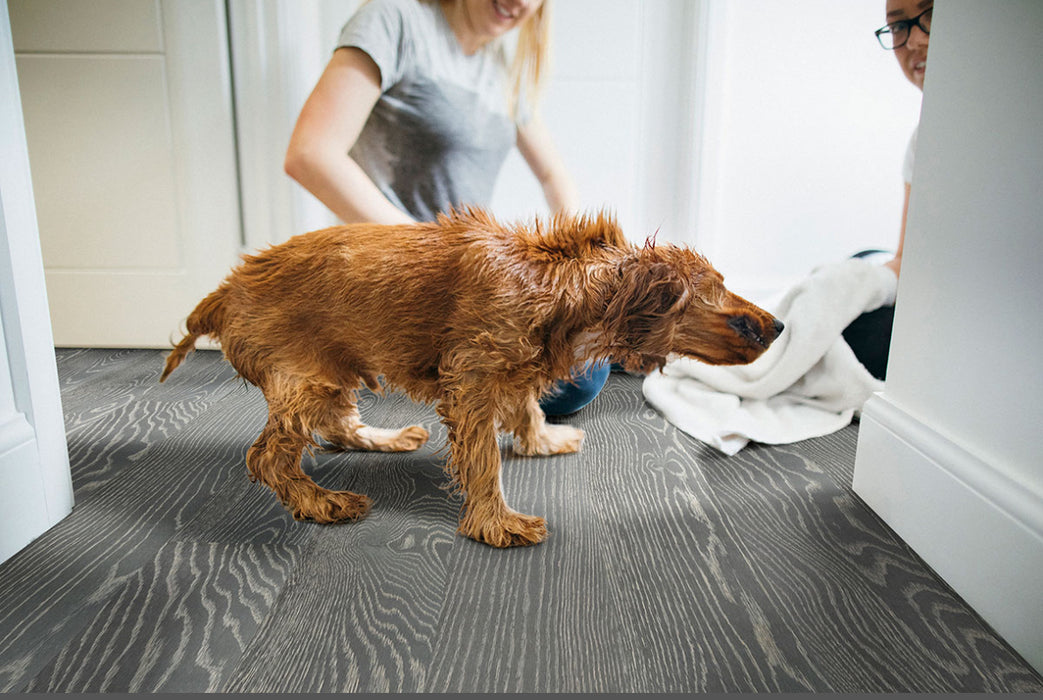 MSI - Woodhills - Liora Oak