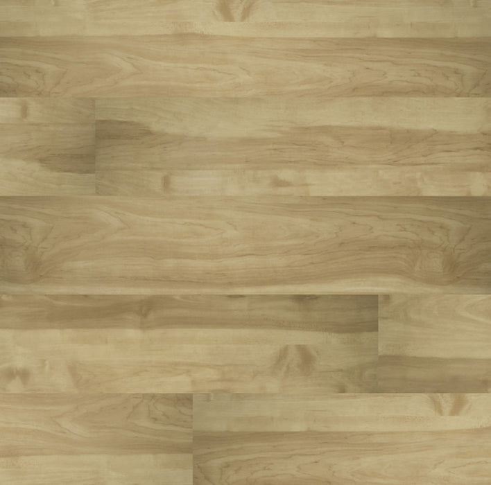 MSI - Cyrus - Brookline - Vinyl Floor Planks