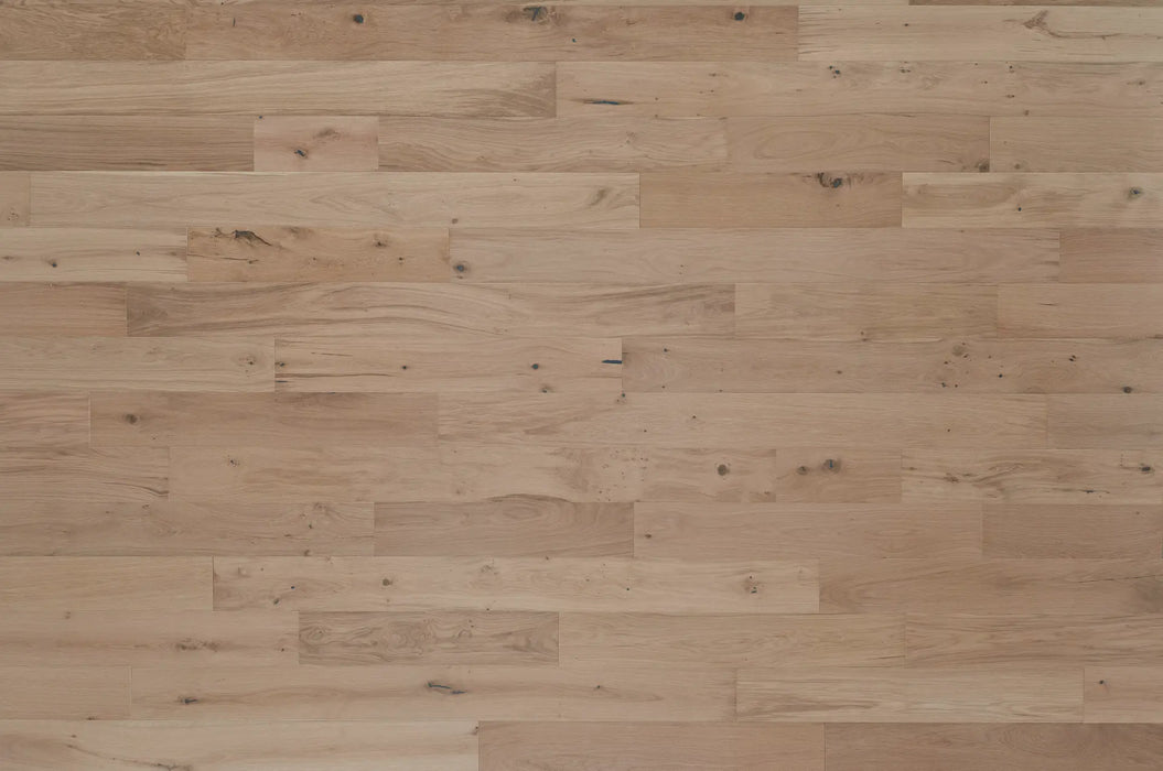 Mannington - Antigua Latitude - Park City - Summit