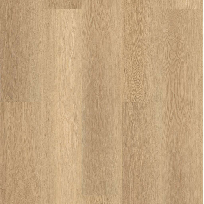 Shaw - 0736V - Endura Plus - Castaway - Vinyl Plank Flooring