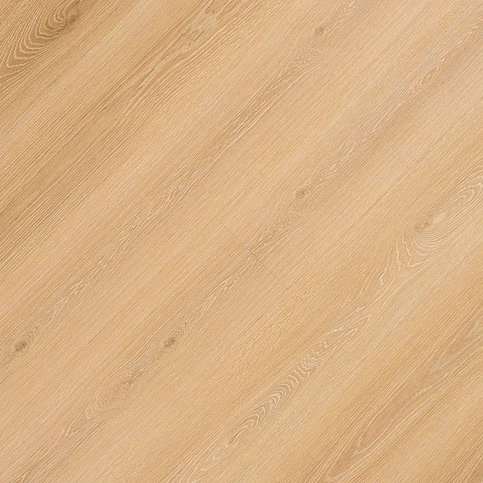MSI - Cyrus - Valleyview Grove -  Vinyl Floor Planks