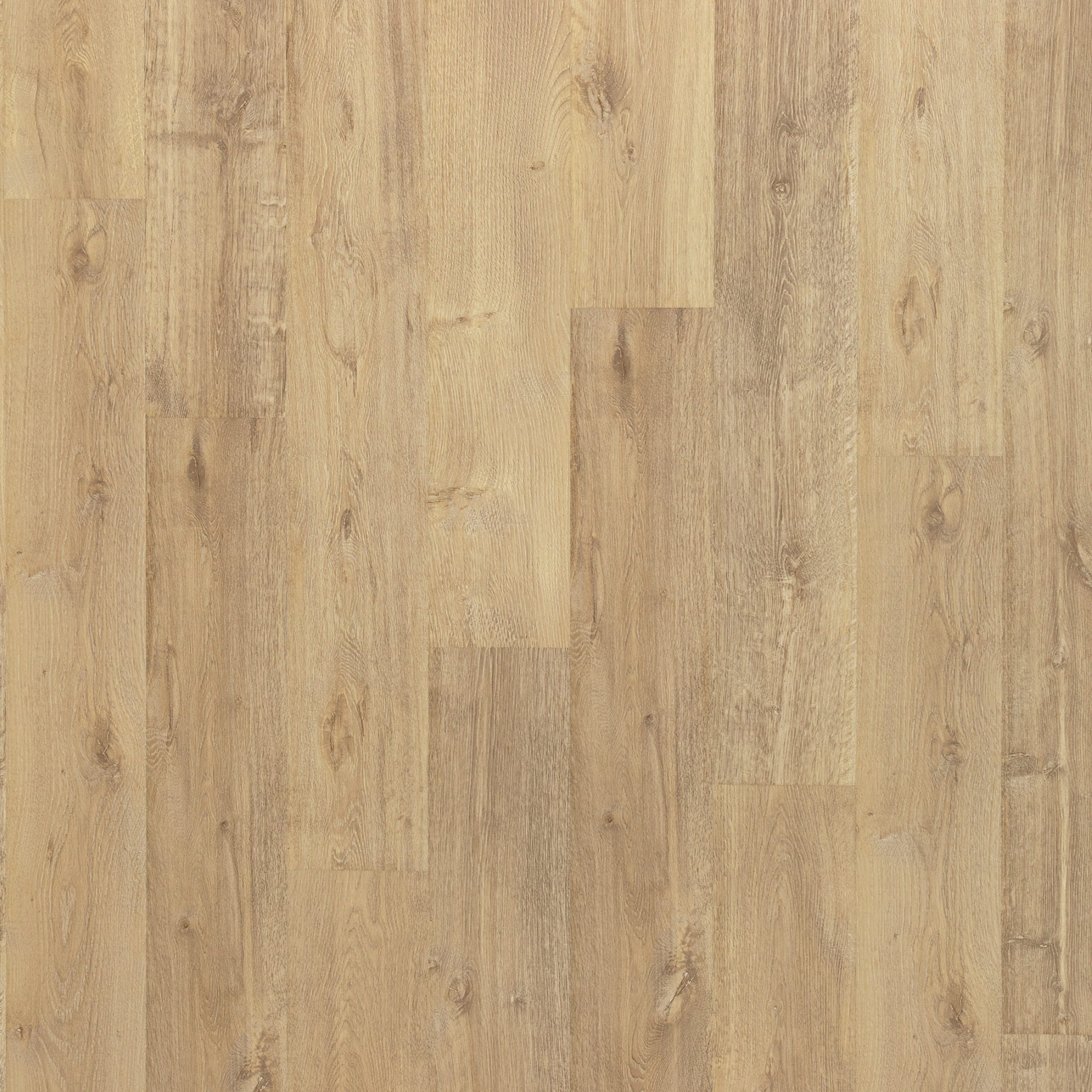CLEARANCE - Mohawk - PureTech Plus - Ellenwood - Fallen Leaf Oak