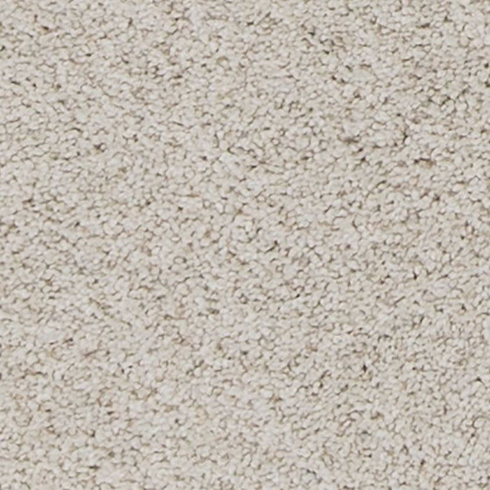 Mohawk - PetPremier - Canine Comfort - Carpet