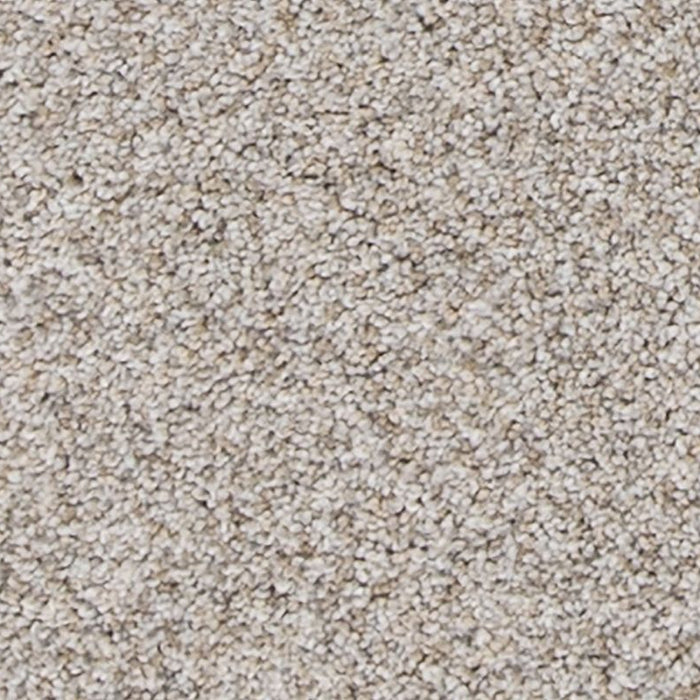 Mohawk - PetPremier - Canine Comfort - Carpet