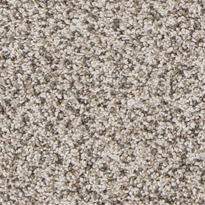 Mohawk - PetPremier - Canine Comfort - Carpet