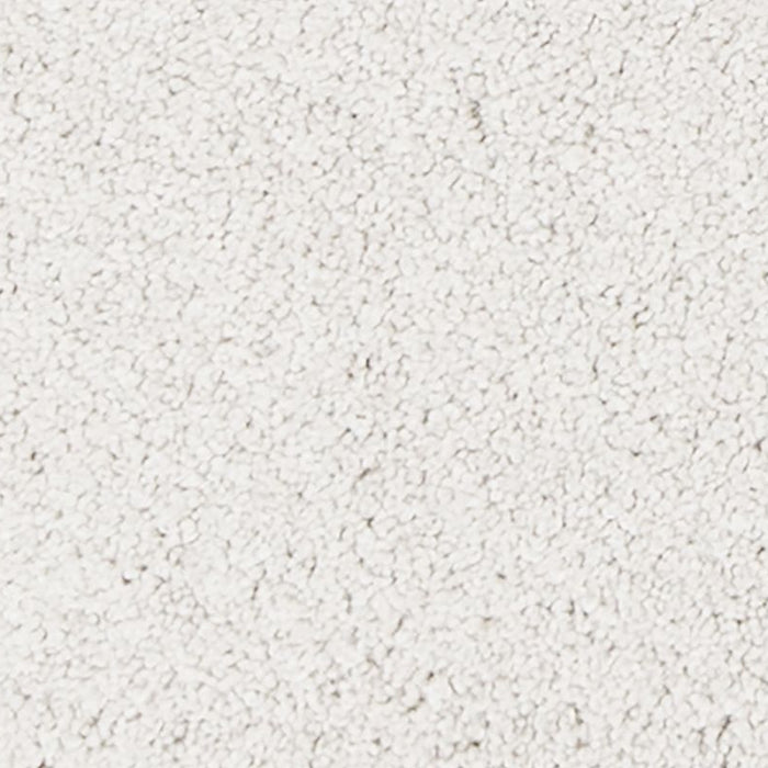 Mohawk - PetPremier - Canine Comfort - Carpet