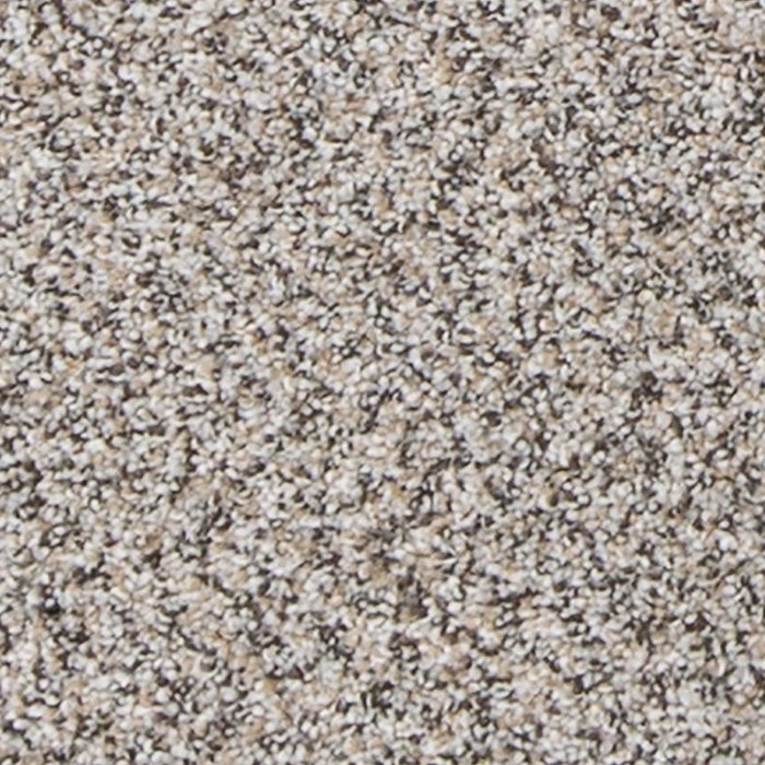 Mohawk - PetPremier - Canine Comfort - Carpet