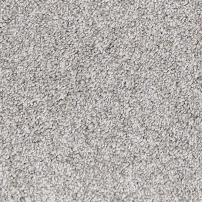 Mohawk - PetPremier - Canine Comfort - Carpet