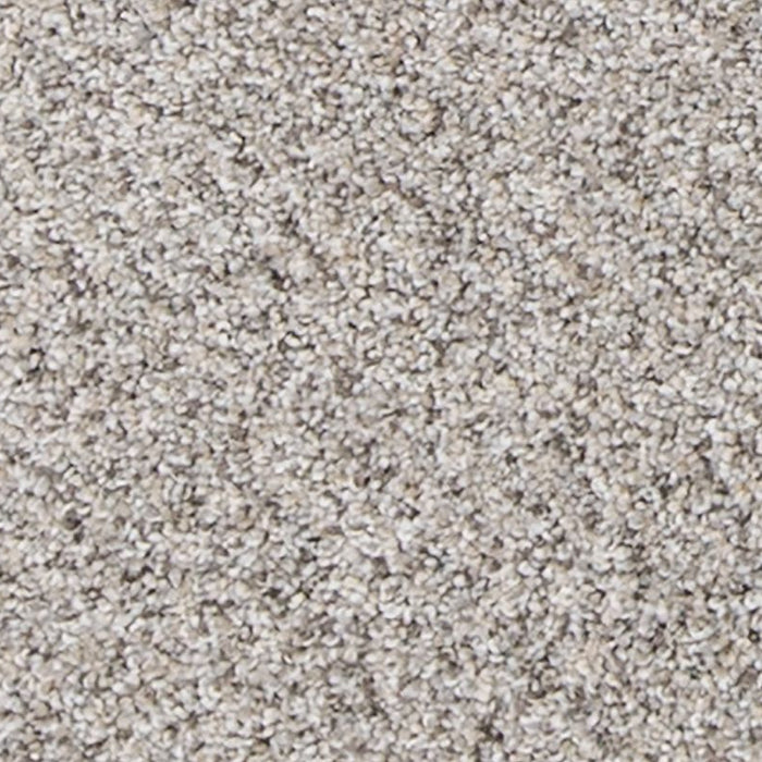 Mohawk - PetPremier - Canine Comfort - Carpet