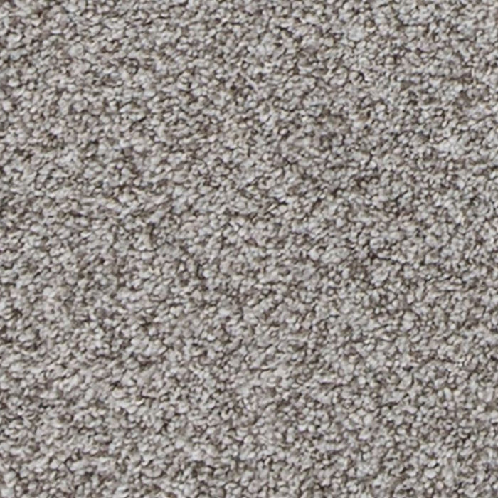 Mohawk - PetPremier - Canine Comfort - Carpet