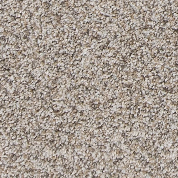 Mohawk - PetPremier - Canine Comfort - Carpet