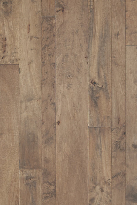 Mannington - Antigua Collection - Pacaya Mesquite- Sediment