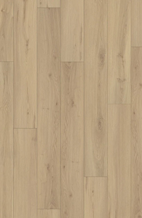 IFC - Canyon Select XL - Sullivans Oak - Floor Planks (Old Version)