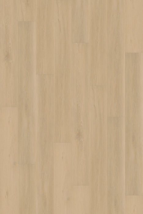 Canyon Signature XL NE+ Chesapeake Oak
