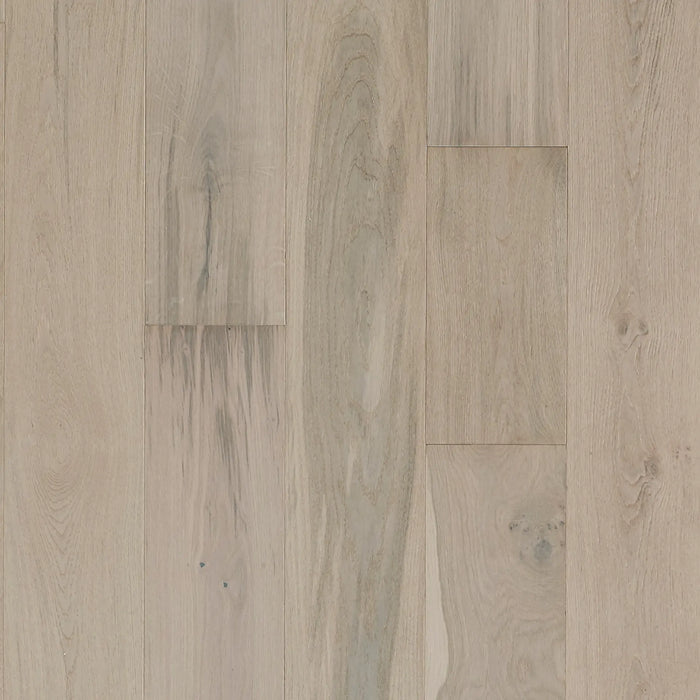 Mannington - Antigua Latitude - Park City - Wintry